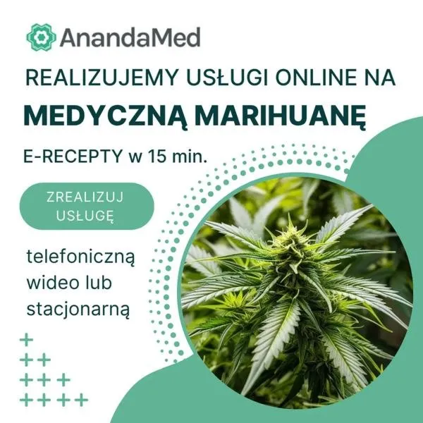 Co można palić zamiast tytoniu? Oto alternatywy, które warto poznać