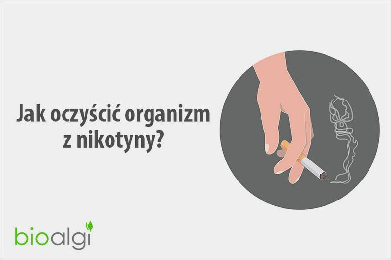 Oczyszczanie organizmu