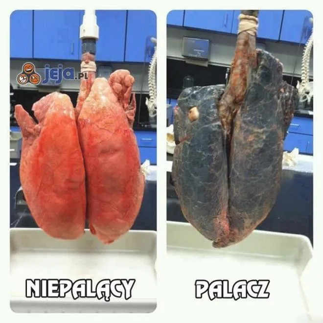 Oczyszczanie płuc