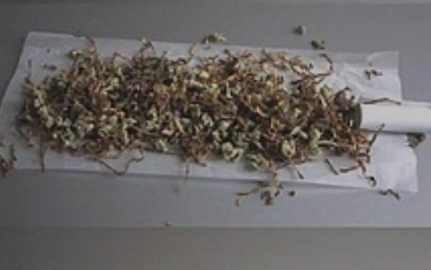 Spliff a joint